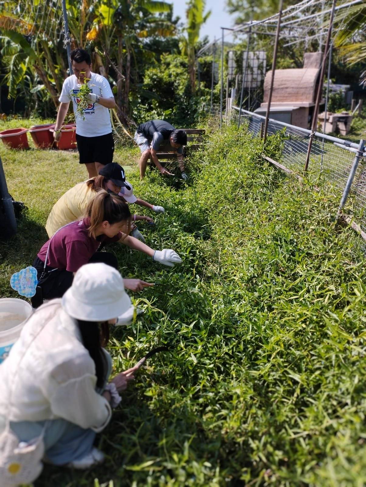 JK Club 貝澳露營車 - 貝澳沙灘旁的豪華露營體驗 【貝澳】4-5人 -工作坊連中型露營車體驗套票 (親親小動物/早.晚餐) 12