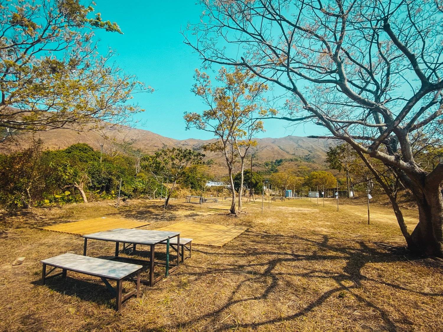 WE CAMP 元朗露營 - 15萬呎營地｜豪華露營、汽車露營、塘景露營體驗 【汽車露營區A-Zone】【自扎營】租用營帳/汽車露營(1-3人) 14