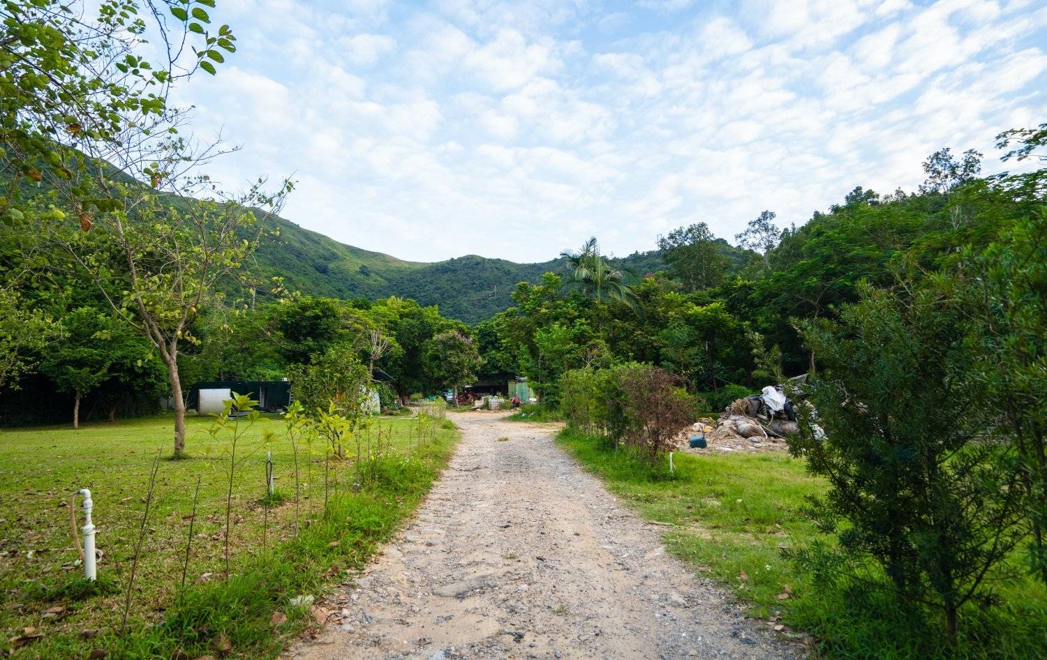 山林里農莊Forest Pathway | 錦田露營·寵物友善營區·巴士露營體驗 【Holimood獨家限量送燒雞】山林里農莊 (自攜營帳/租用營帳) 13