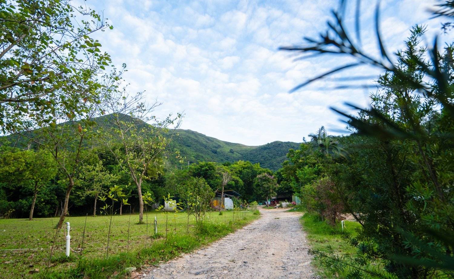 山林里農莊Forest Pathway | 錦田露營·寵物友善營區·巴士露營體驗 【Holimood獨家限量送燒雞】山林里農莊 (自攜營帳/租用營帳) 16