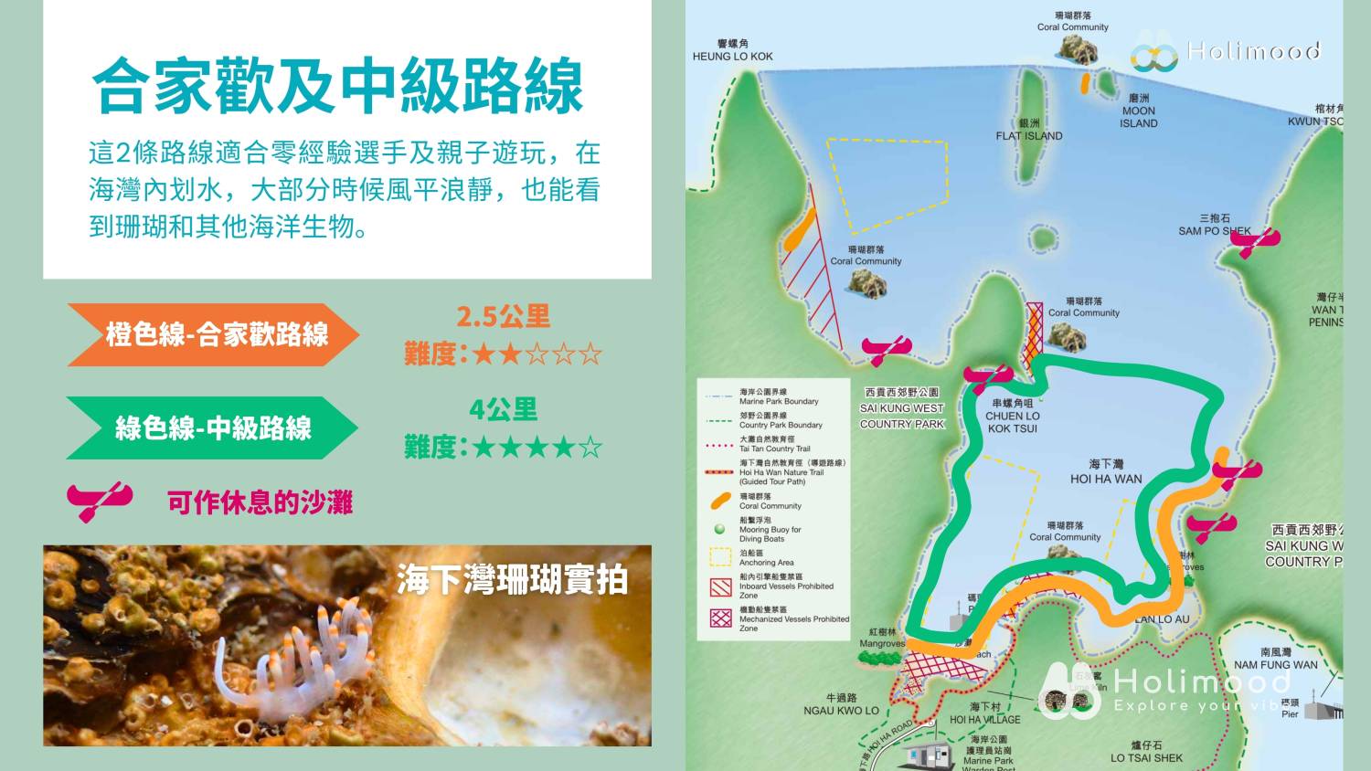 Wan Hoi Store 【Sai Kung Hoi Ha】Kayak/ SUP Board rental (With Shower Area) 12