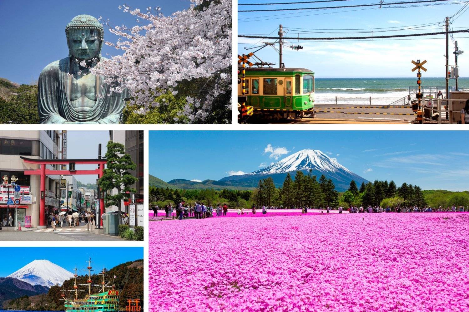 Young's Holidays - Diving Tours, Self-Drive Trips, Japan Campervans 【私人包車】東京10小時市內/富士山/鐮倉/輕井澤/日光客制化行程中文司機包車一日遊(7/10人車) 1