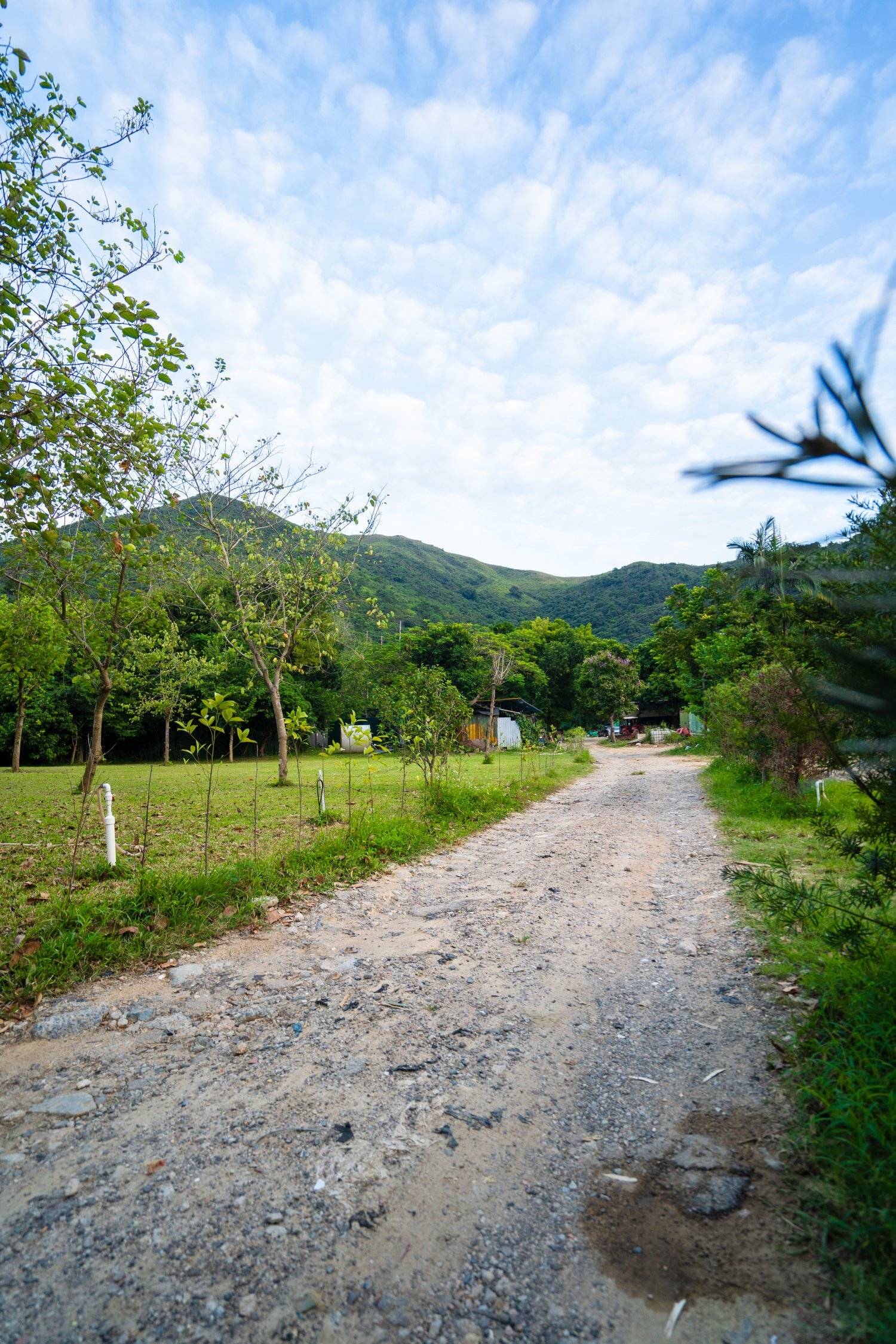 山林里農莊Forest Pathway | 錦田露營·寵物友善營區·巴士露營體驗 【Holimood獨家限量送燒雞】山林里農莊 (自攜營帳/租用營帳) 15