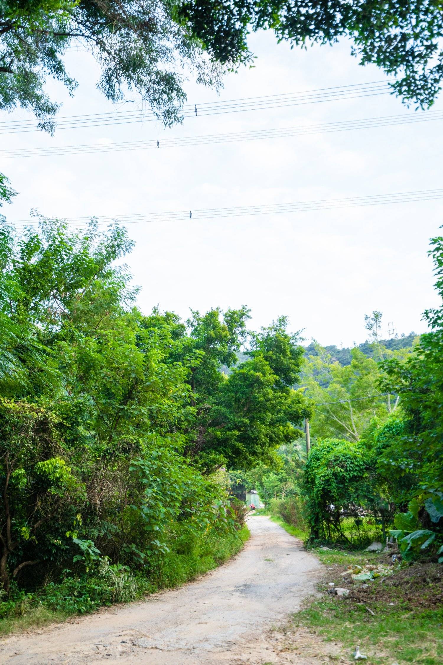 山林里農莊Forest Pathway | 錦田露營·寵物友善營區·巴士露營體驗 【Holimood獨家限量送燒雞】山林里農莊 (自攜營帳/租用營帳) 21