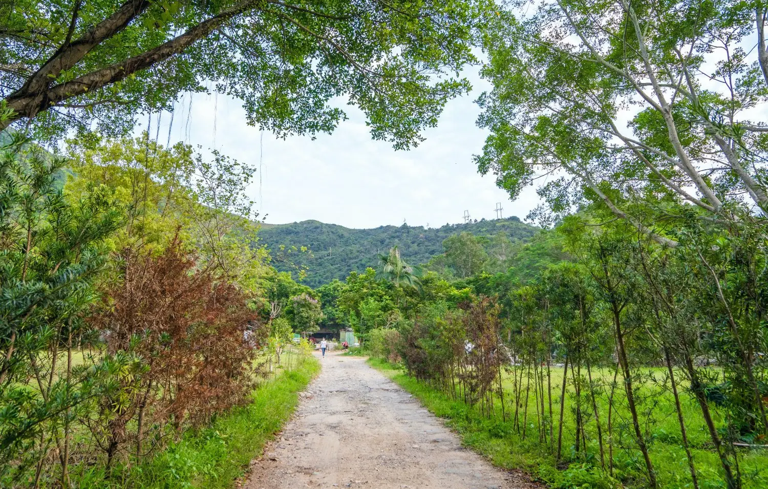 山林里農莊Forest Pathway | 錦田露營·寵物友善營區·巴士露營體驗 【Holimood獨家限量送燒雞】山林里農莊 (自攜營帳/租用營帳) 18