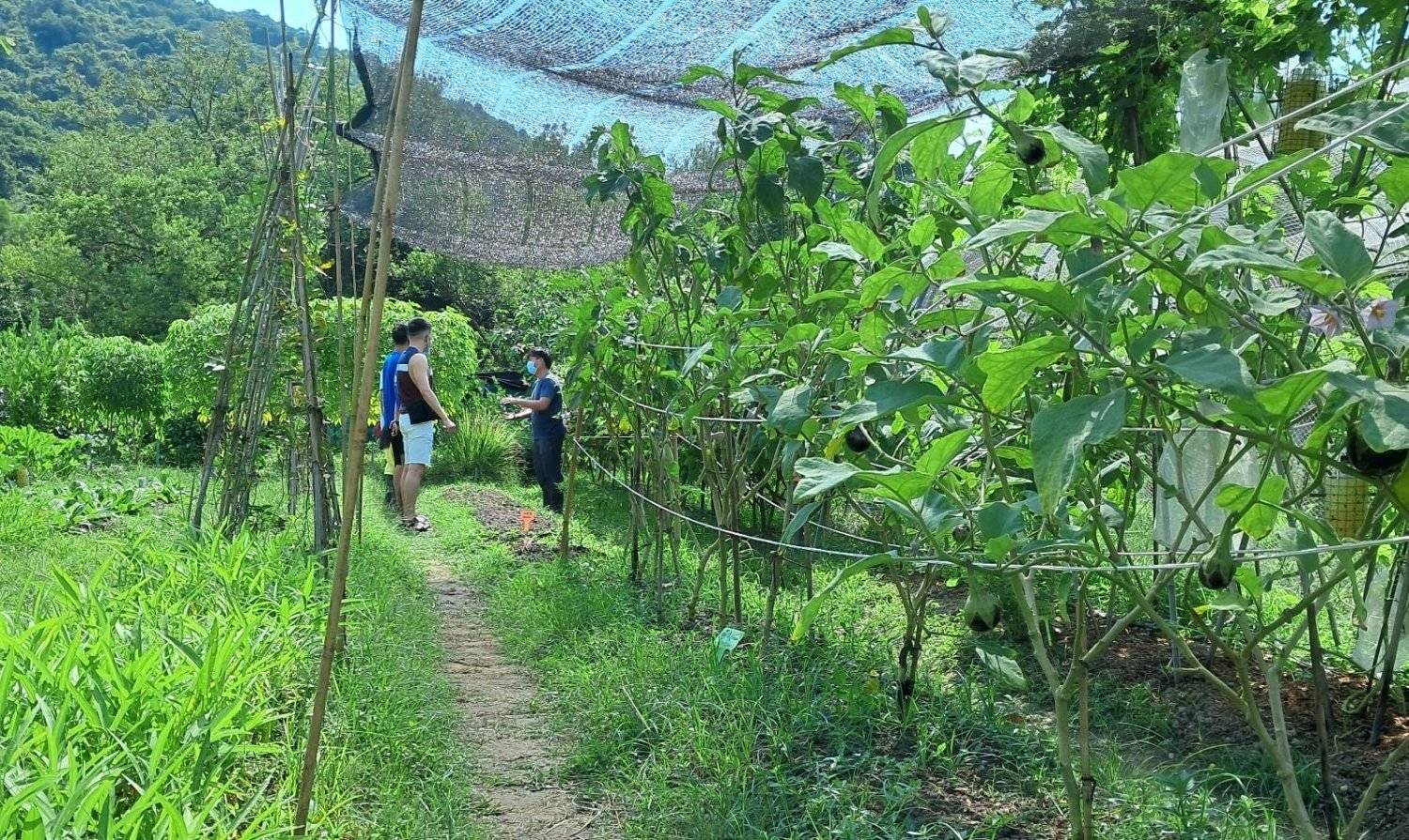 JK Club 貝澳露營車 - 貝澳沙灘旁的豪華露營體驗 【貝澳】602 (6人) - 豪華露營車體驗套票 (親親小動物/早、晚餐) 17