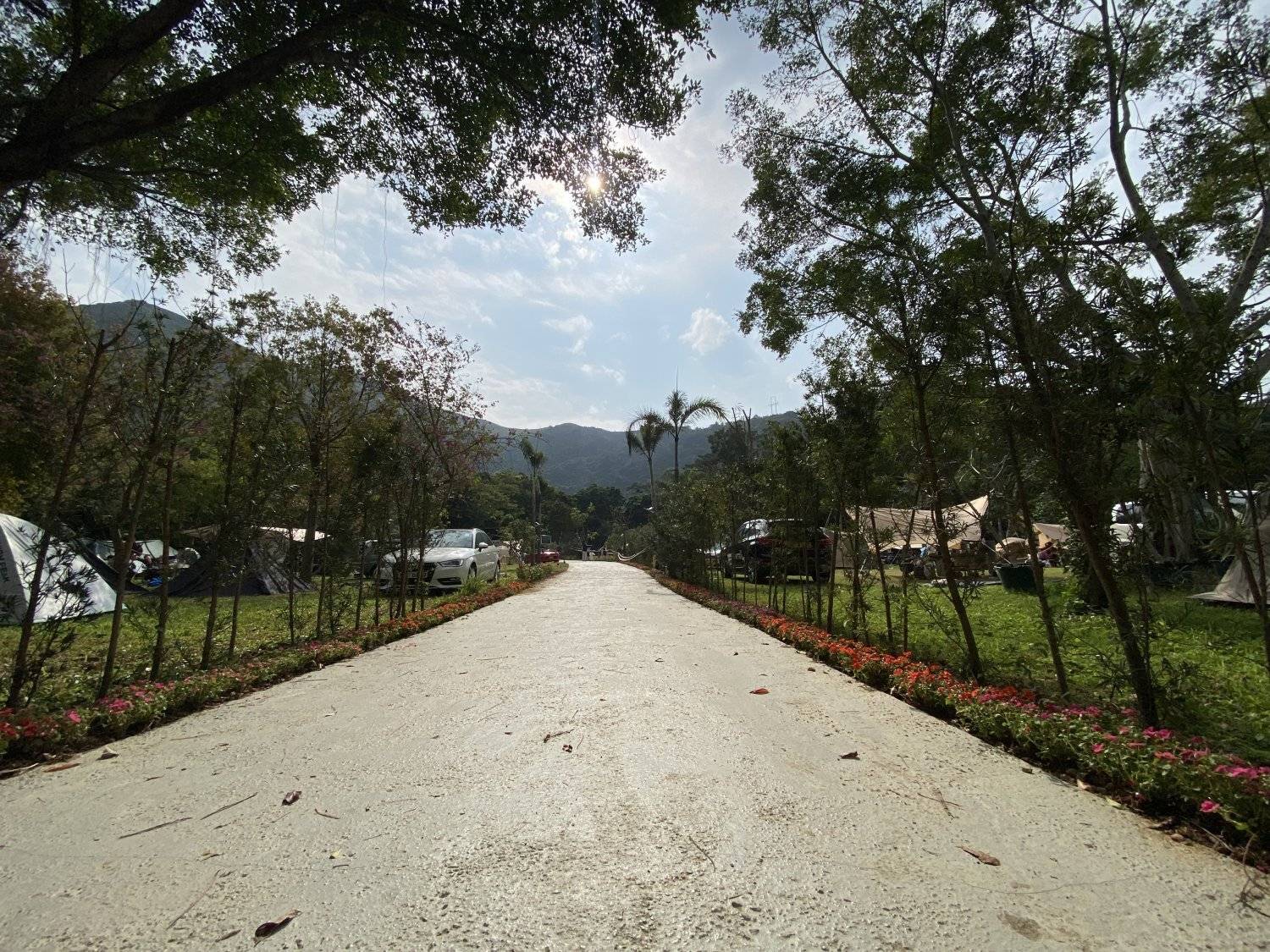 Forest Pathway Camping | Kam Tin Campsite·Pet-friendly Forest Pathway - Camping (Bring your own tent/ tent Rental) 25