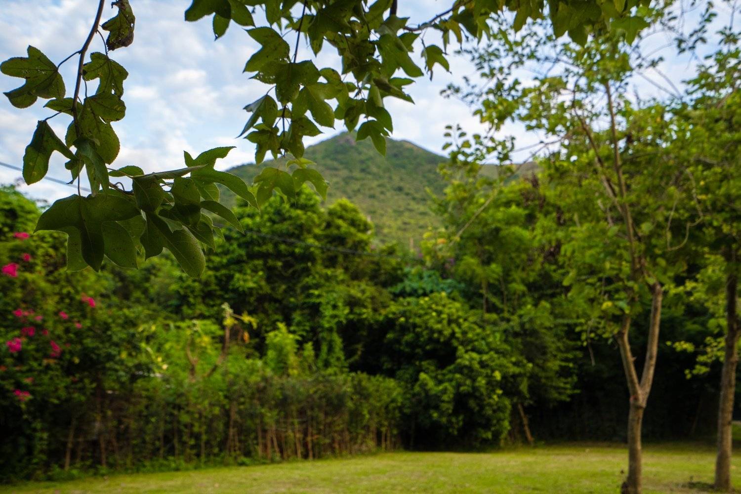 山林里農莊Forest Pathway | 錦田露營·寵物友善營區·巴士露營體驗 【Holimood獨家限量送燒雞】山林里農莊 (自攜營帳/租用營帳) 9